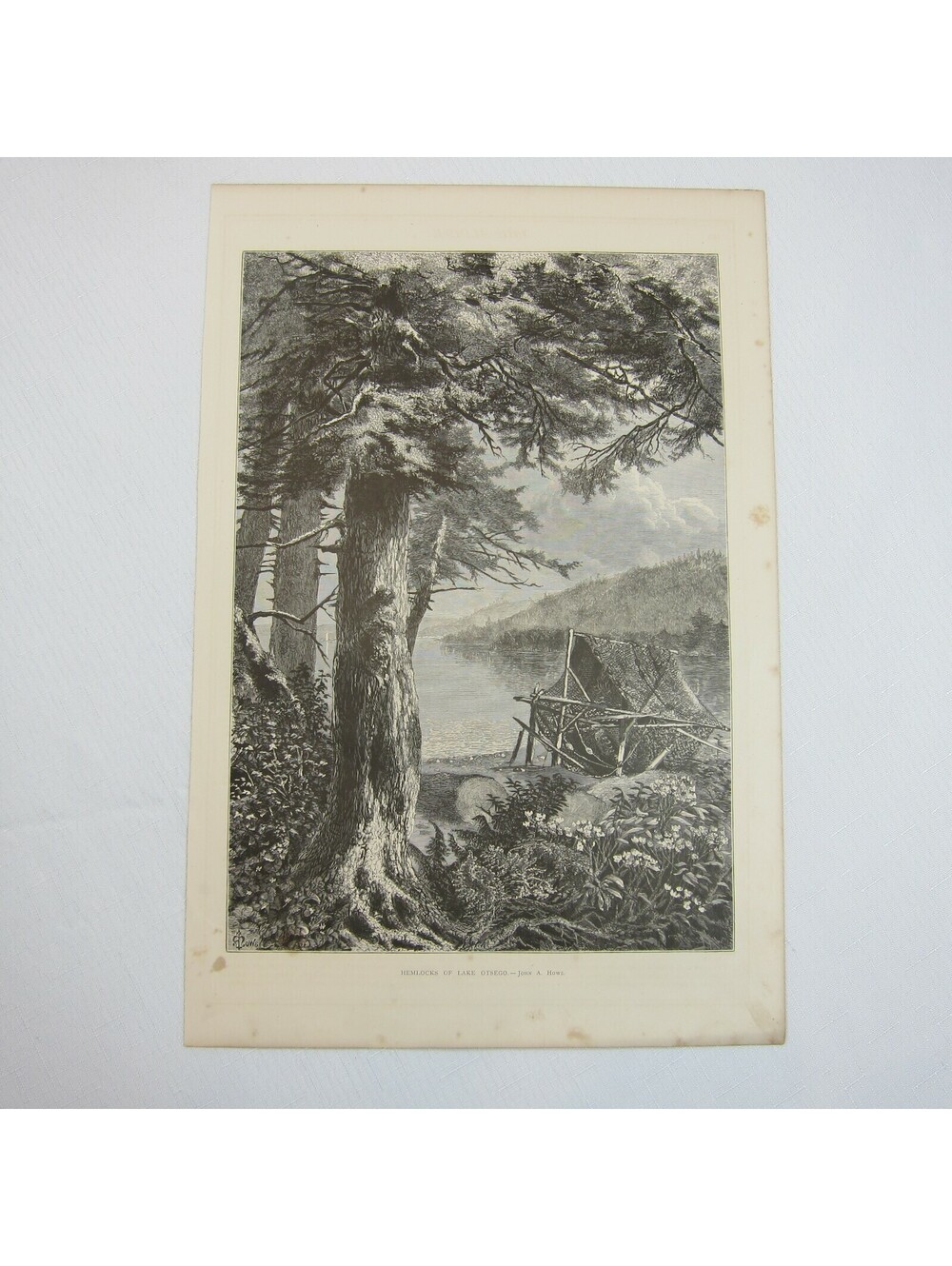 Antique 1874 Engraving Print Hemlocks of Lake Ostego John A. Hows Cooperstown NY